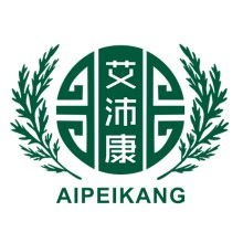 文化为桥，艺术作舟 跨文化交流策划的全方位实践